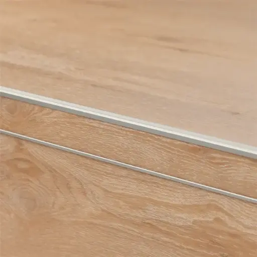 KT Trapprofiel rvs 3 meter